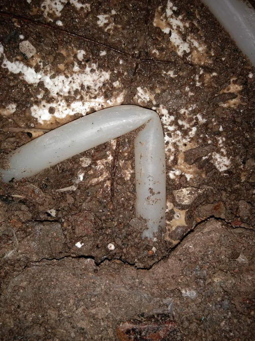 游仙堵点精准查找